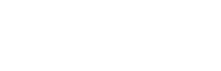 logo Hôtel des Vosges